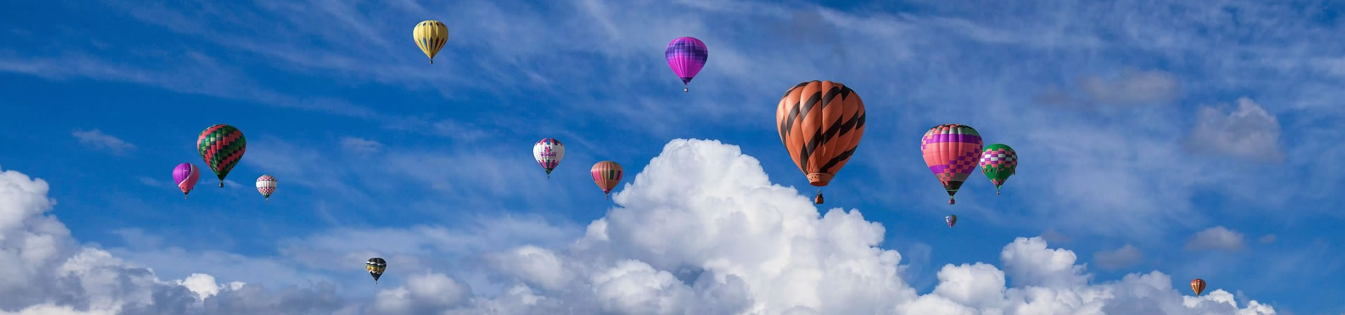 上海项目交流群